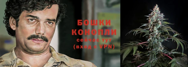 спайс Вяземский