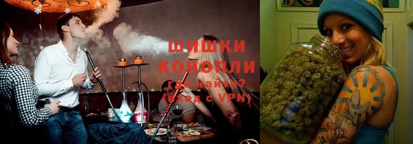 спайс Вяземский