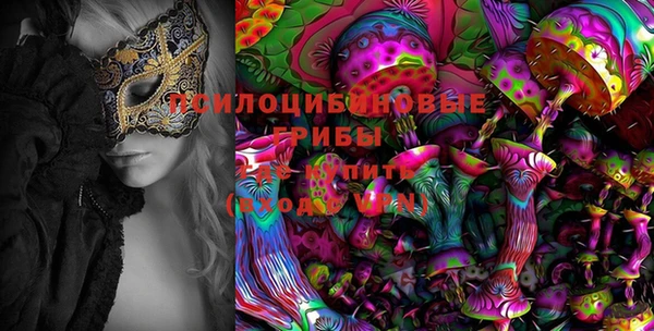 спайс Вяземский