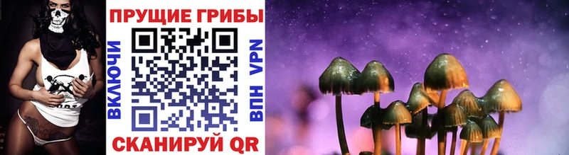 Псилоцибиновые грибы прущие грибы  Купить где  Карачаевск 